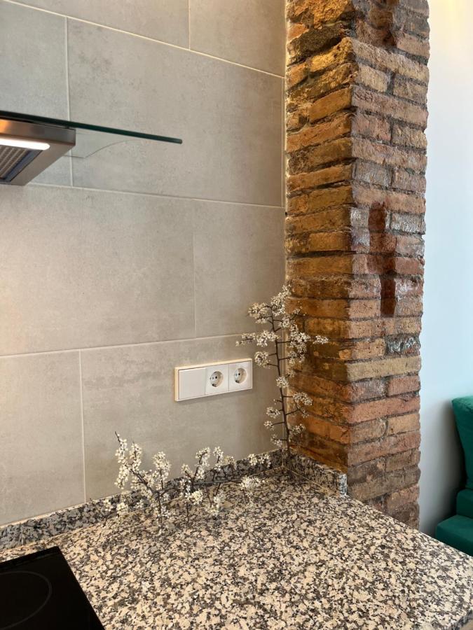 Cal Lleuger Apartment Guardiola de Bergueda Exterior photo